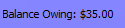 11. Balance Owing Amount
