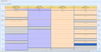 9. Appointments diary
