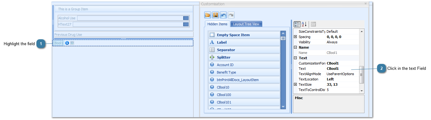 Editing a Field or Tab name