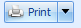 16. Print