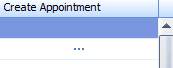 8. Create Appointment button