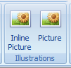 3. Insert a Picture