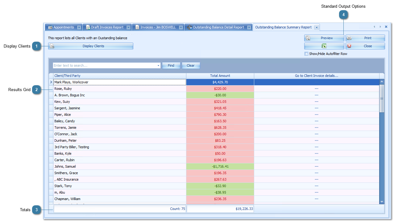 Outstanding Balance - Summary Report