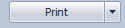 16. Print