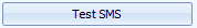 4. Test SMS settings