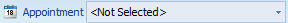 3. Appointment Selector