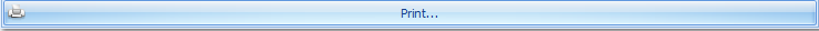 13. Print